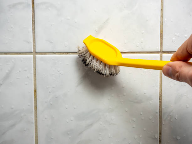 Milford Mill, MD Mold Removal Company