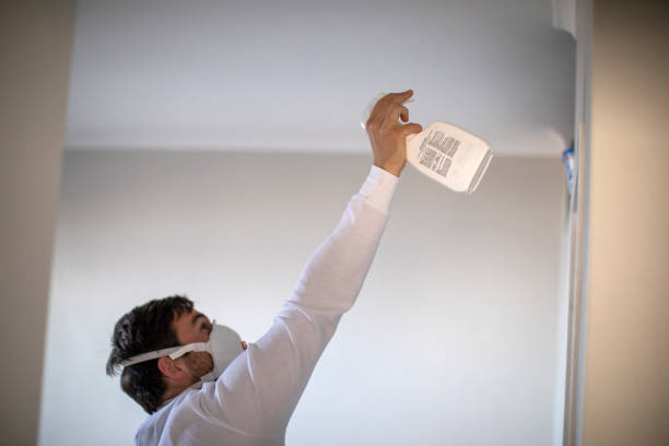 Best Crawl Space Mold Removal  in Milford Mill, MD