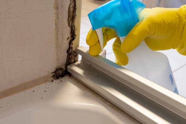 Best Residential Mold Removal  in Milford Mill, MD