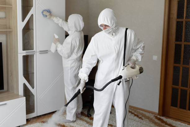 Certified Mold Removal in Milford Mill, MD