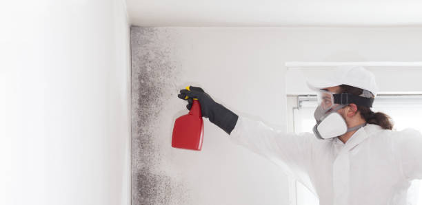 Best Mold Testing  in Milford Mill, MD